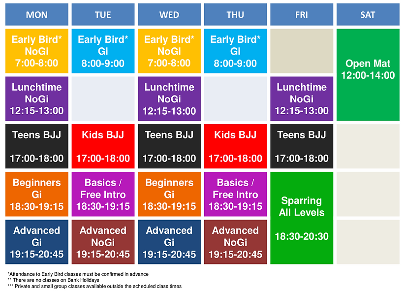 Jungle BJJ Martial Arts Dublin City Centre